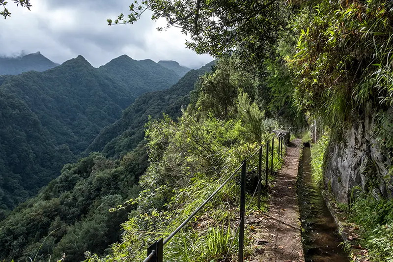 Levada Walk and Waterfall in Laurel Forest